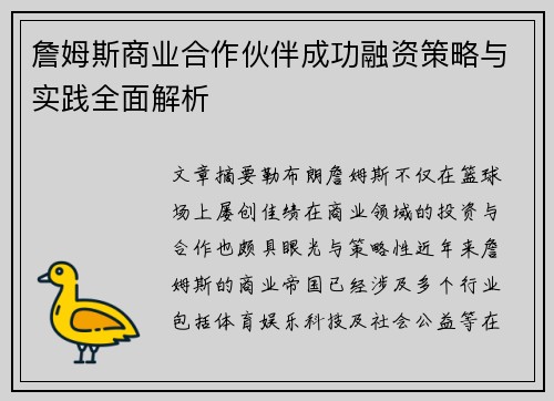 詹姆斯商业合作伙伴成功融资策略与实践全面解析 詹姆斯商业合作伙伴成功融资策略与实践全面解析